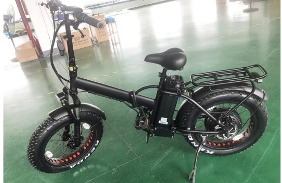1000 watt ebike 20 inches _1 1