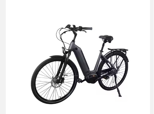 0 Greenpedel 799 $ 1 1 0 Greenpedel 799 $ 1 1