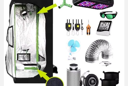 0 Greenhouse _0 SINOWELL Indoor Hydroponic b