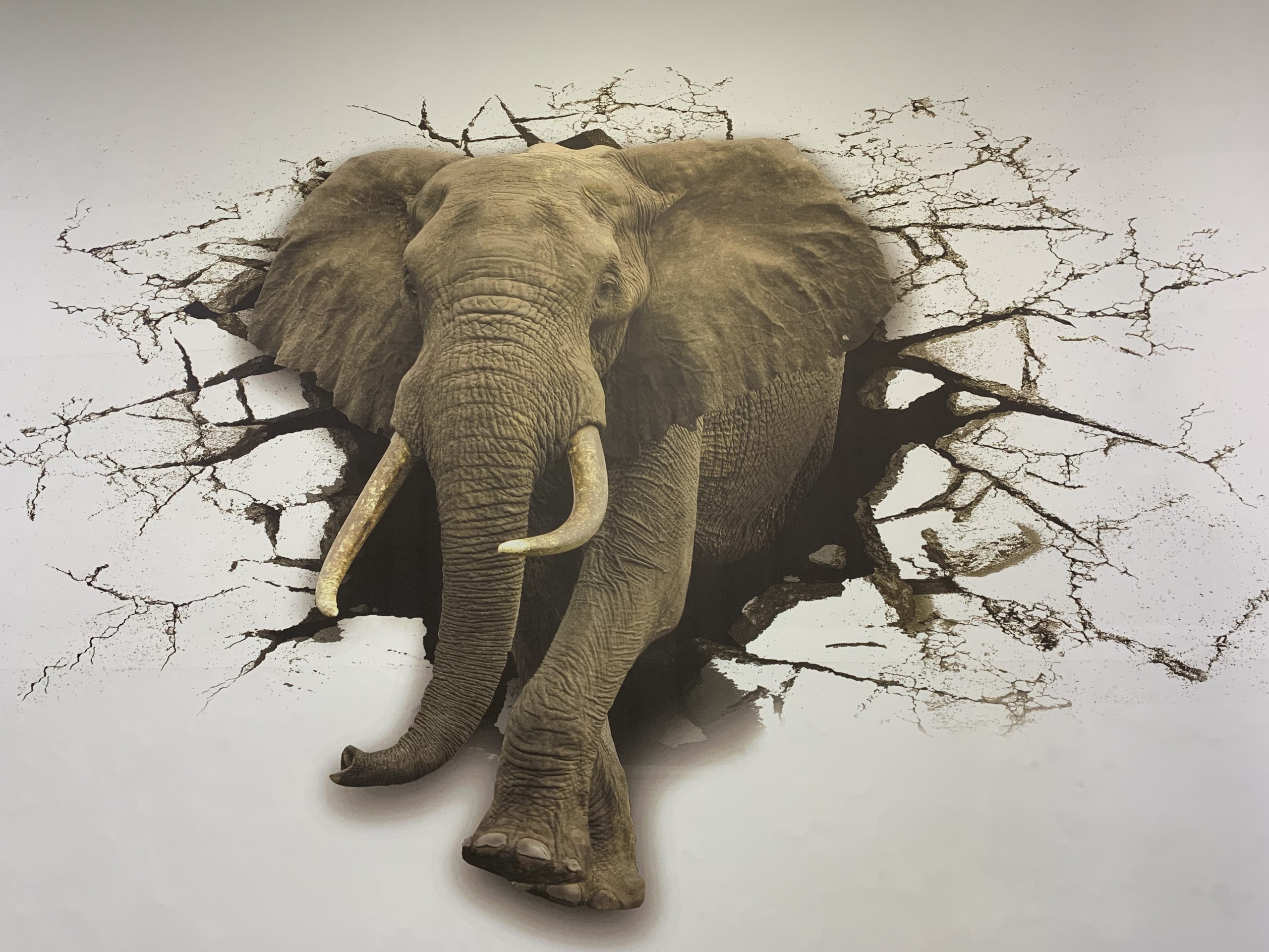 Printing picture 1 Printing picture 1